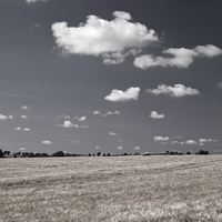 Buy canvas prints of Large Barley Field black white Instagram Square by Mark Purches