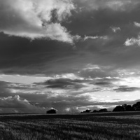 Buy canvas prints of Cotswolds Barley Field & Clouds Sunset Black & Whi by Mark Purches