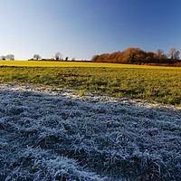 Buy canvas prints of Winter Frosty Grass Landscape with Vibrant Blue Sk by Mark Purches