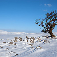 Buy canvas prints of A Yorkshire Winter Wilderness by Steve Glover