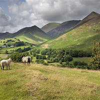 Buy canvas prints of The Newlands Valley by Steve Glover