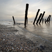 Buy canvas prints of A Muted Spurn Dawn by Steve Glover