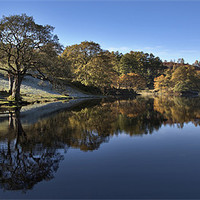 Buy canvas prints of Loughrigg Reflection by Steve Glover