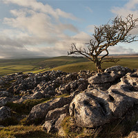 Buy canvas prints of High Above Malham Moor by Steve Glover