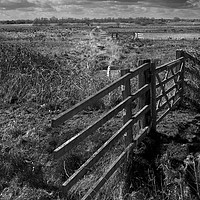 Buy canvas prints of Gate on Yare Valley Marshes by john kerrison
