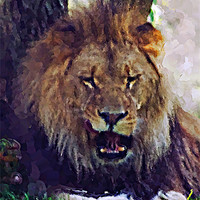 Buy canvas prints of Lion painting by Doug McRae