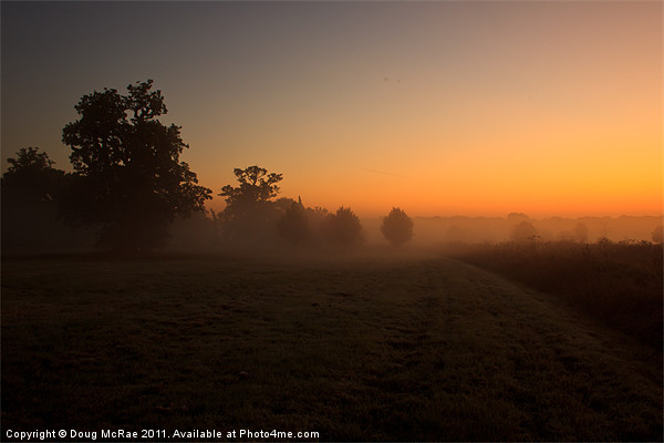 Sunrise and mist Picture Board by Doug McRae