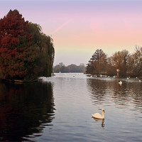 Buy canvas prints of Thames at windsor by Doug McRae