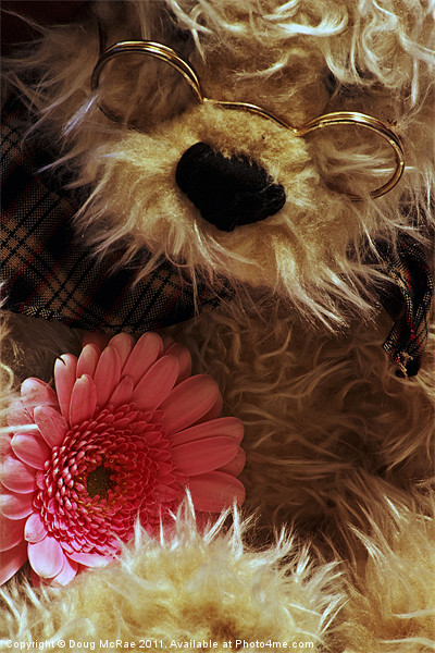 Teddy and Flower Picture Board by Doug McRae