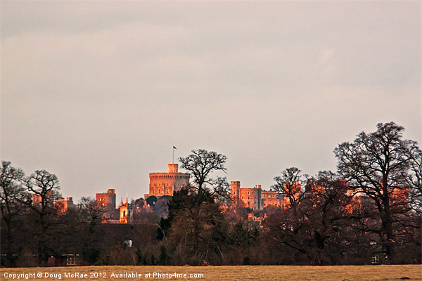 Windsor castle from the park Picture Board by Doug McRae