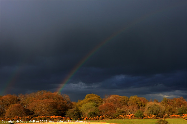 Rainbow over the Newforest Picture Board by Doug McRae