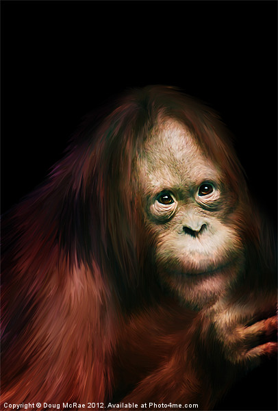 Orangutan Picture Board by Doug McRae