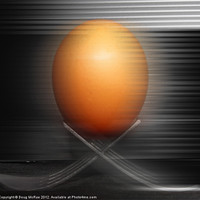 Buy canvas prints of Egg on the move by Doug McRae