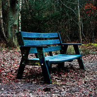 Buy canvas prints of some where to sit by Doug McRae