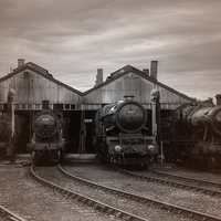 Buy canvas prints of  steam trains by Doug McRae