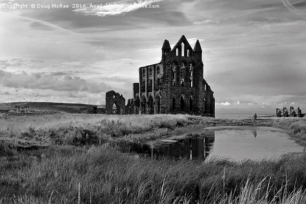 Whitby Abbey  Picture Board by Doug McRae