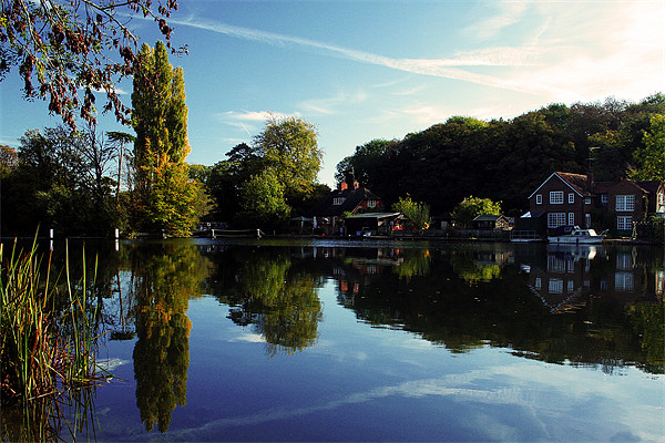 Thames at Sonning Picture Board by Doug McRae