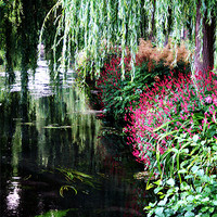Buy canvas prints of River itchen winchester by Doug McRae