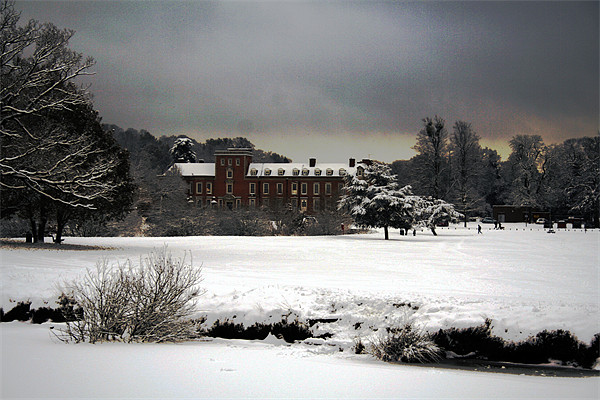 South hill Mansion in winter Picture Board by Doug McRae