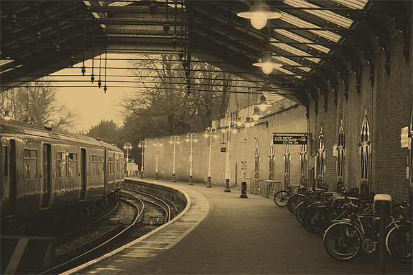 Windsor train station Picture Board by Doug McRae