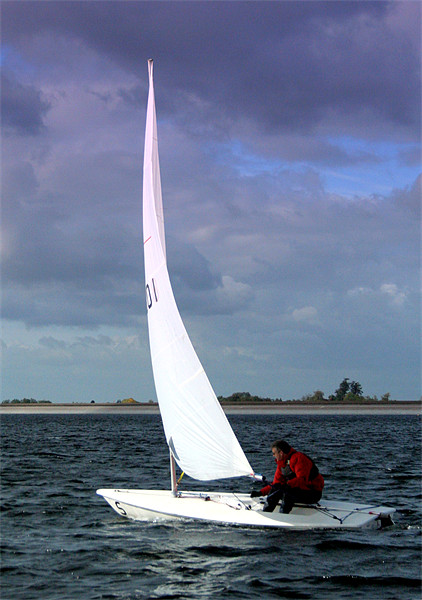 Laser Sailing Picture Board by Doug McRae