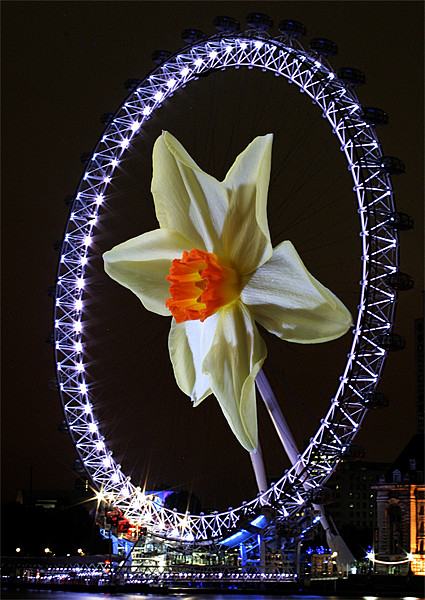 New take on the london  eye Picture Board by Doug McRae
