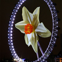 Buy canvas prints of New take on the london  eye by Doug McRae