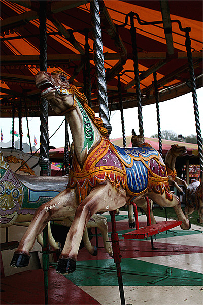 Carousel Picture Board by Doug McRae