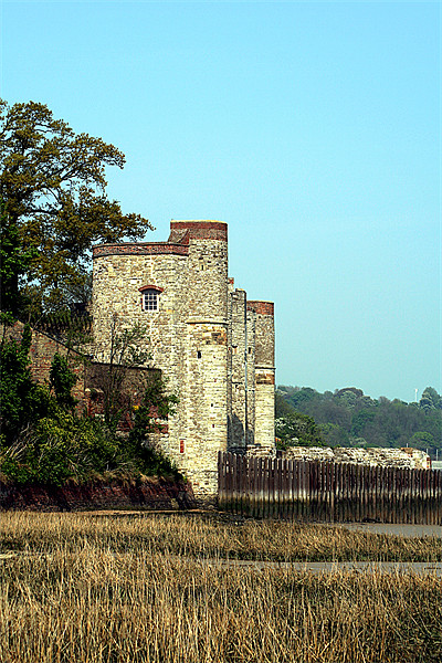 Upnor castle Picture Board by Doug McRae