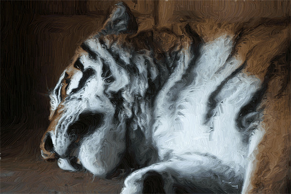 Painted sleeping tiger Picture Board by Doug McRae