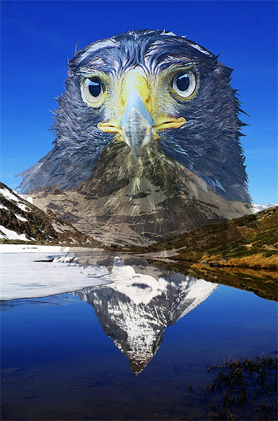 Eagle mountain Picture Board by Doug McRae