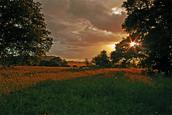 Sunset at Windsor Great Park Picture Board by Doug McRae
