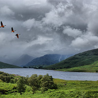 Buy canvas prints of Loch Arklet, Scotland by Sandi-Cockayne ADPS