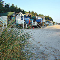 Buy canvas prints of Beach Huts At Wells-On-Sea by Sandi-Cockayne ADPS
