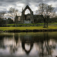 Buy canvas prints of Bolton Abbey Reflection by Sandi-Cockayne ADPS