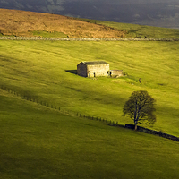 Buy canvas prints of Dalescape - The Bloody Vale, Swaledale by Sandi-Cockayne ADPS