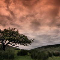Buy canvas prints of  Hawthorn and Drama In The Sky by Sandi-Cockayne ADPS