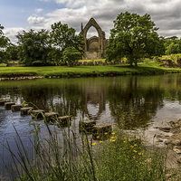 Buy canvas prints of  Bolton Abbey At The Best Of Summer by Sandi-Cockayne ADPS