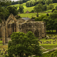Buy canvas prints of  Bolton Abbey In The Summertime by Sandi-Cockayne ADPS