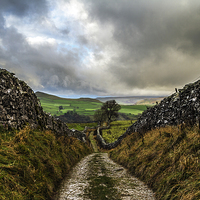 Buy canvas prints of  Stainforth to Catrigg Falls Track by Sandi-Cockayne ADPS
