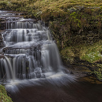 Buy canvas prints of Jenny Whalley Force by Sandi-Cockayne ADPS