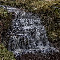 Buy canvas prints of Jenny Whalley Force II by Sandi-Cockayne ADPS