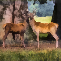 Buy canvas prints of Buck Deer Painterly by Sandi-Cockayne ADPS