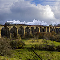 Buy canvas prints of THE CHRISTMAS CHESHIREMAN by Colin irwin