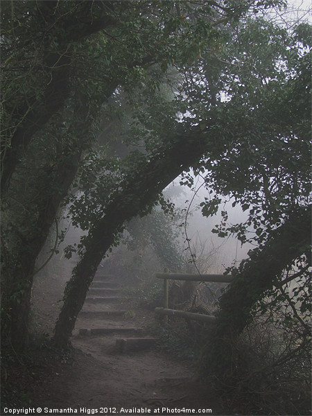 Mysterious Path Picture Board by Samantha Higgs