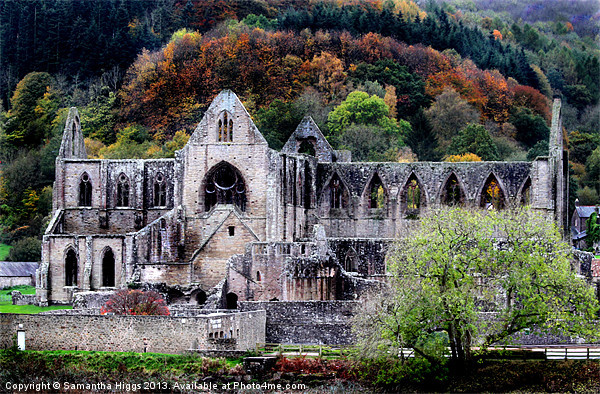 Autumn At Tintern Abbey Picture Board by Samantha Higgs