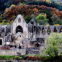 Buy canvas prints of Autumn At Tintern Abbey by Samantha Higgs