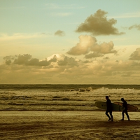 Buy canvas prints of Surfers - Harlyn Bay, Cornwall by Samantha Higgs