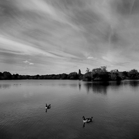 Buy canvas prints of Thatcham Lakes in Black and White by Samantha Higgs
