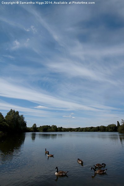 Thatcham Lakes Picture Board by Samantha Higgs